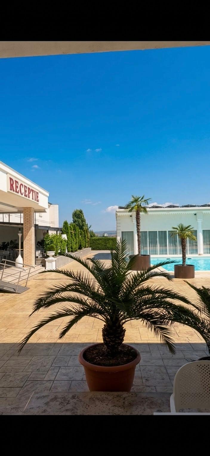 Curtea și piscina Hotelului Elite