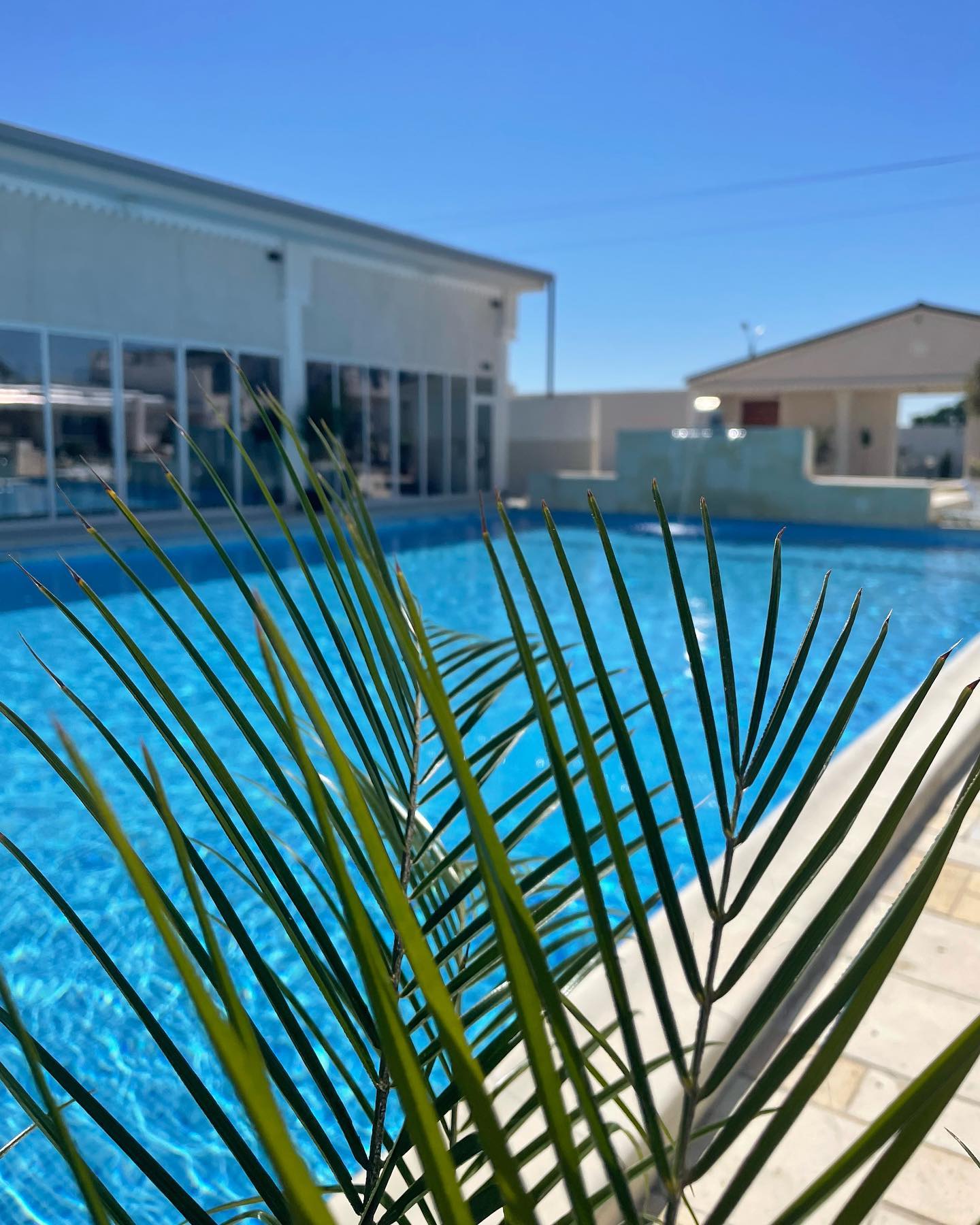 Detaliu tropical lângă piscină