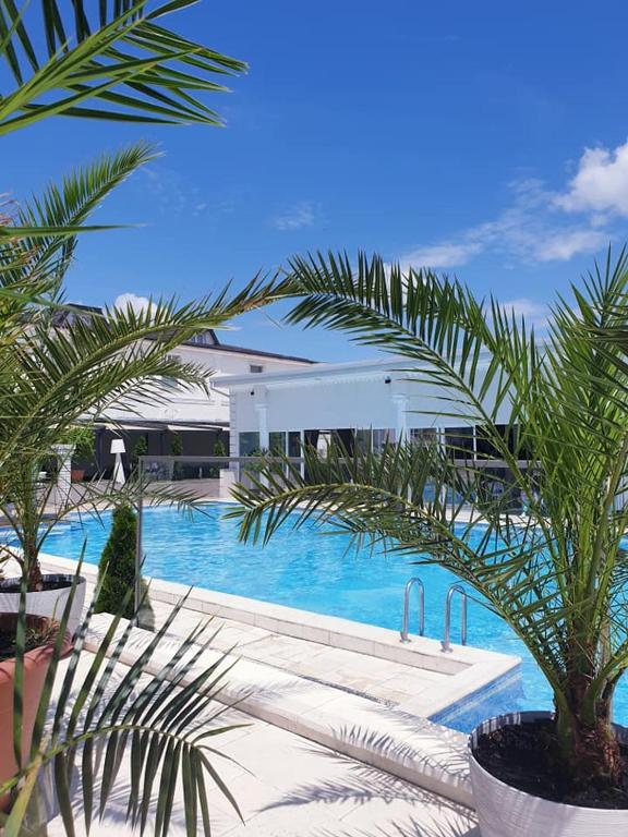 Piscina exterioară printre palmieri